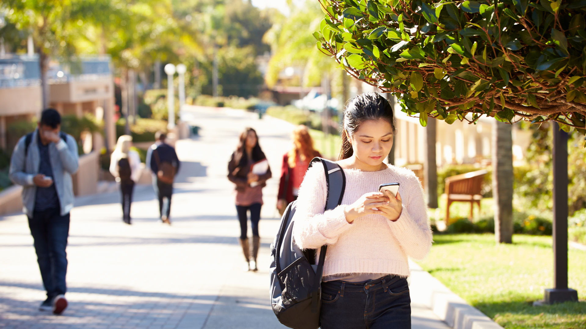 College Mass Notification System - Singlewire Software